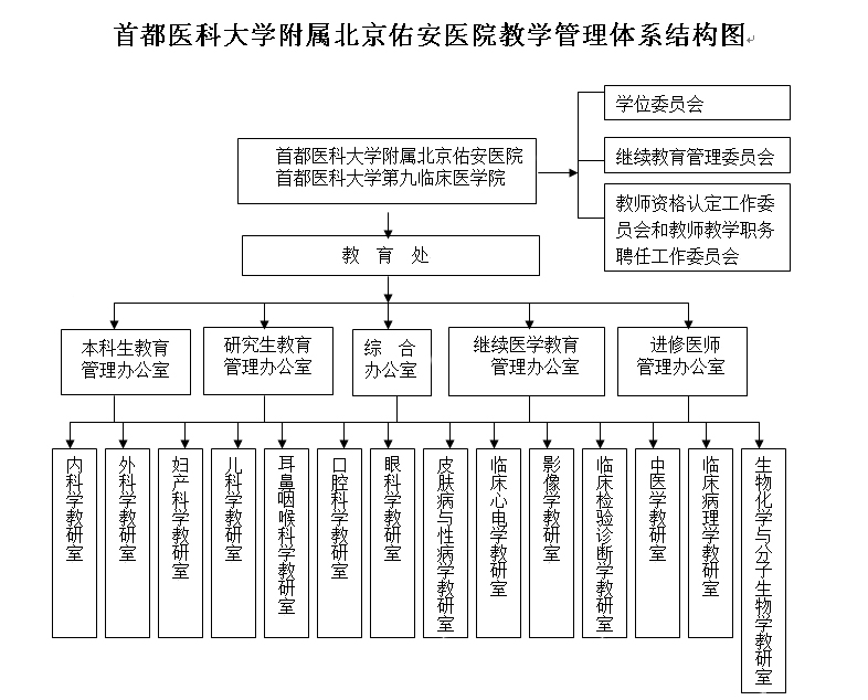 首都医科大学附属北京佑安医院教学管理体系结构图 教育培训-首都